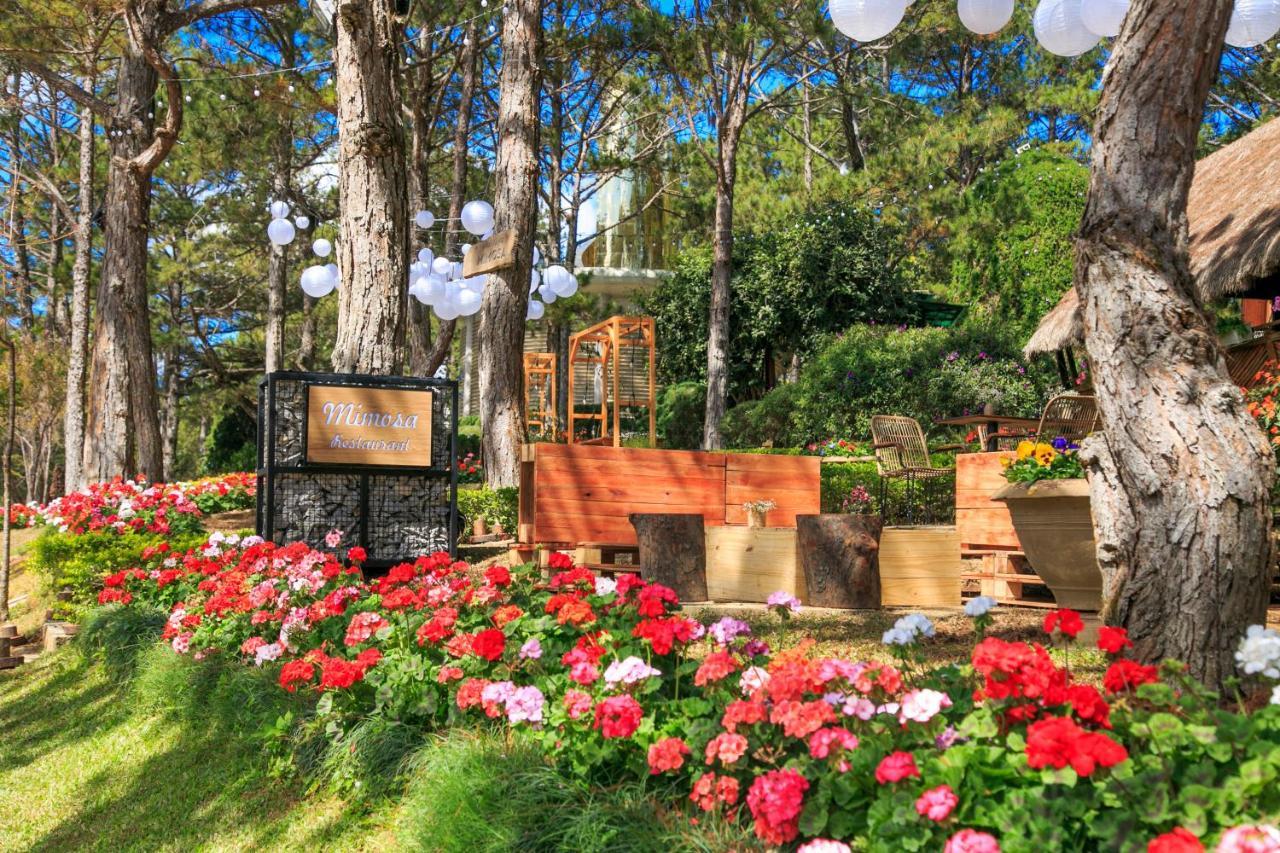 Ttc Dreamy Hill Resort - Unlimited Access To Ttc World - Thung Lung Tinh Yeu Dalat Exteriér fotografie