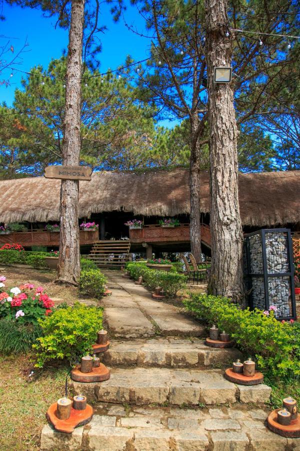 Ttc Dreamy Hill Resort - Unlimited Access To Ttc World - Thung Lung Tinh Yeu Dalat Exteriér fotografie