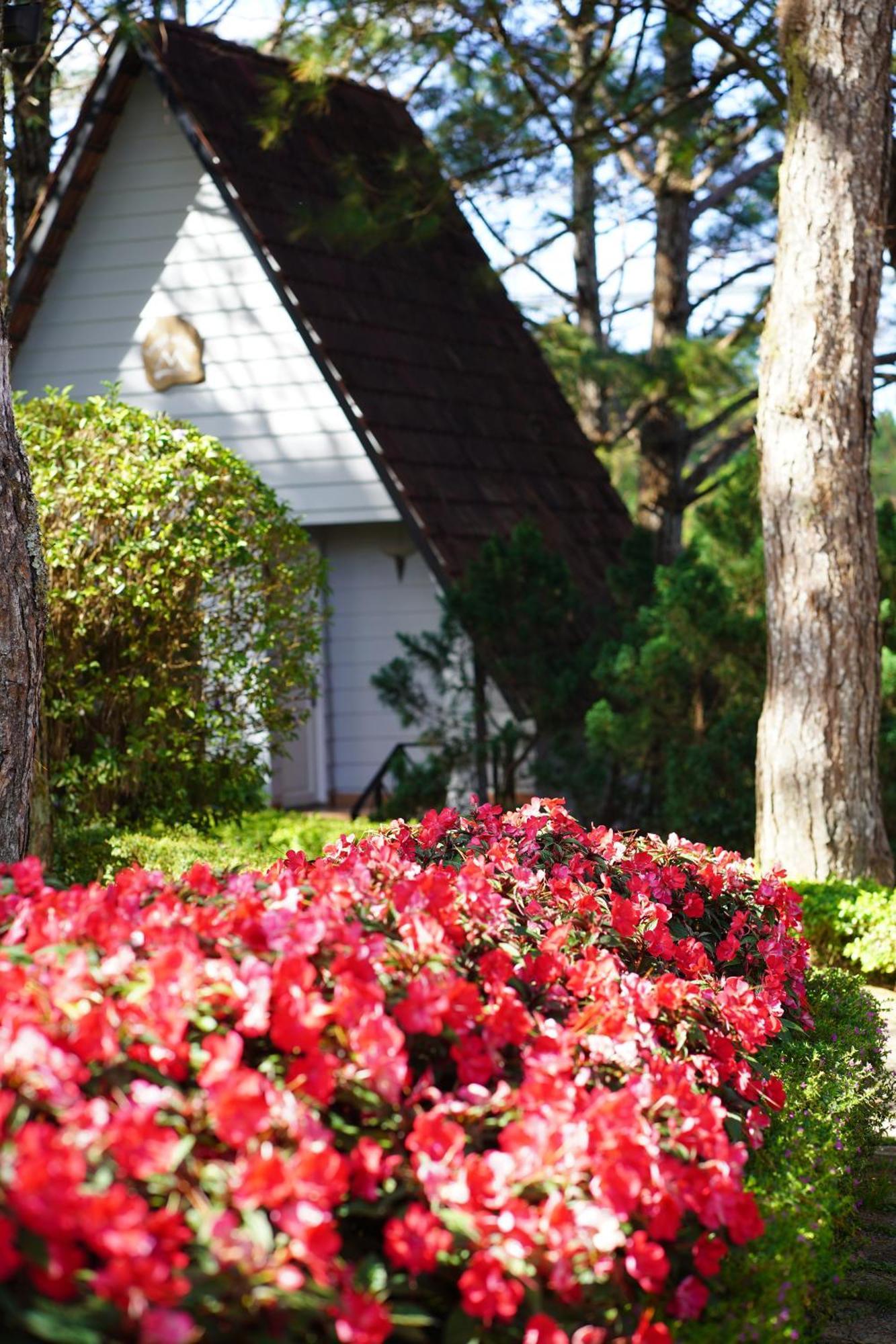 Ttc Dreamy Hill Resort - Unlimited Access To Ttc World - Thung Lung Tinh Yeu Dalat Exteriér fotografie